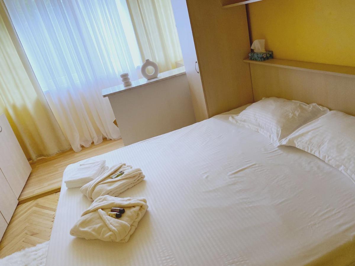Timisoara Central Apartament Lägenhet Exteriör bild